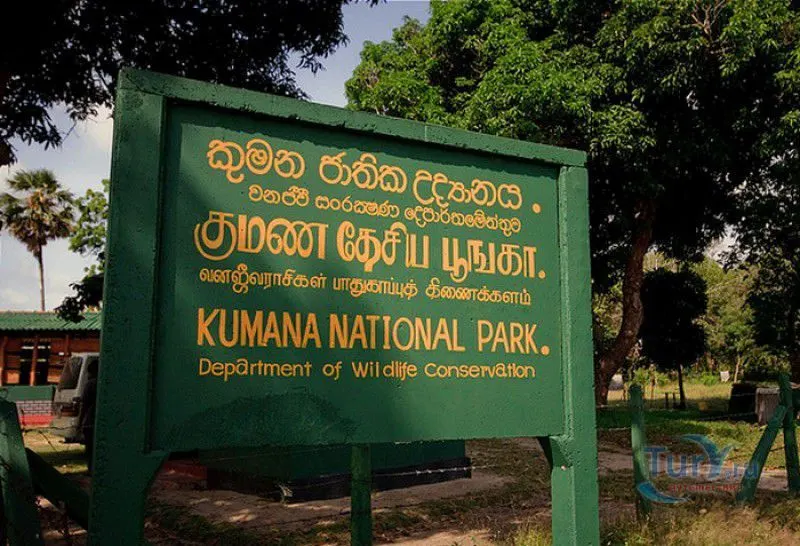 Arugam Bay gallery 2