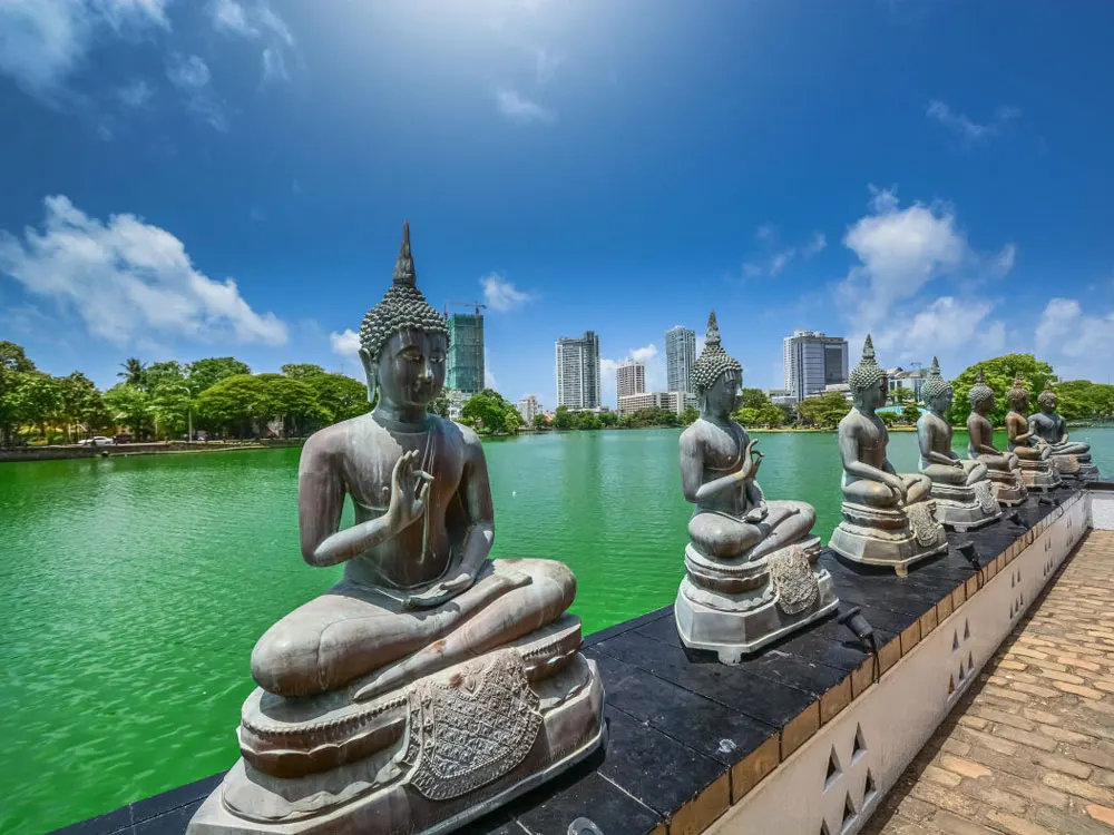 Colombo gallery 2
