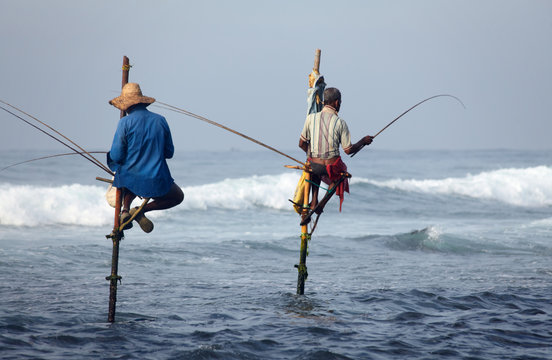 Galle gallery 4