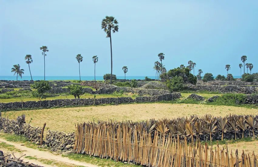 Jaffna gallery 4