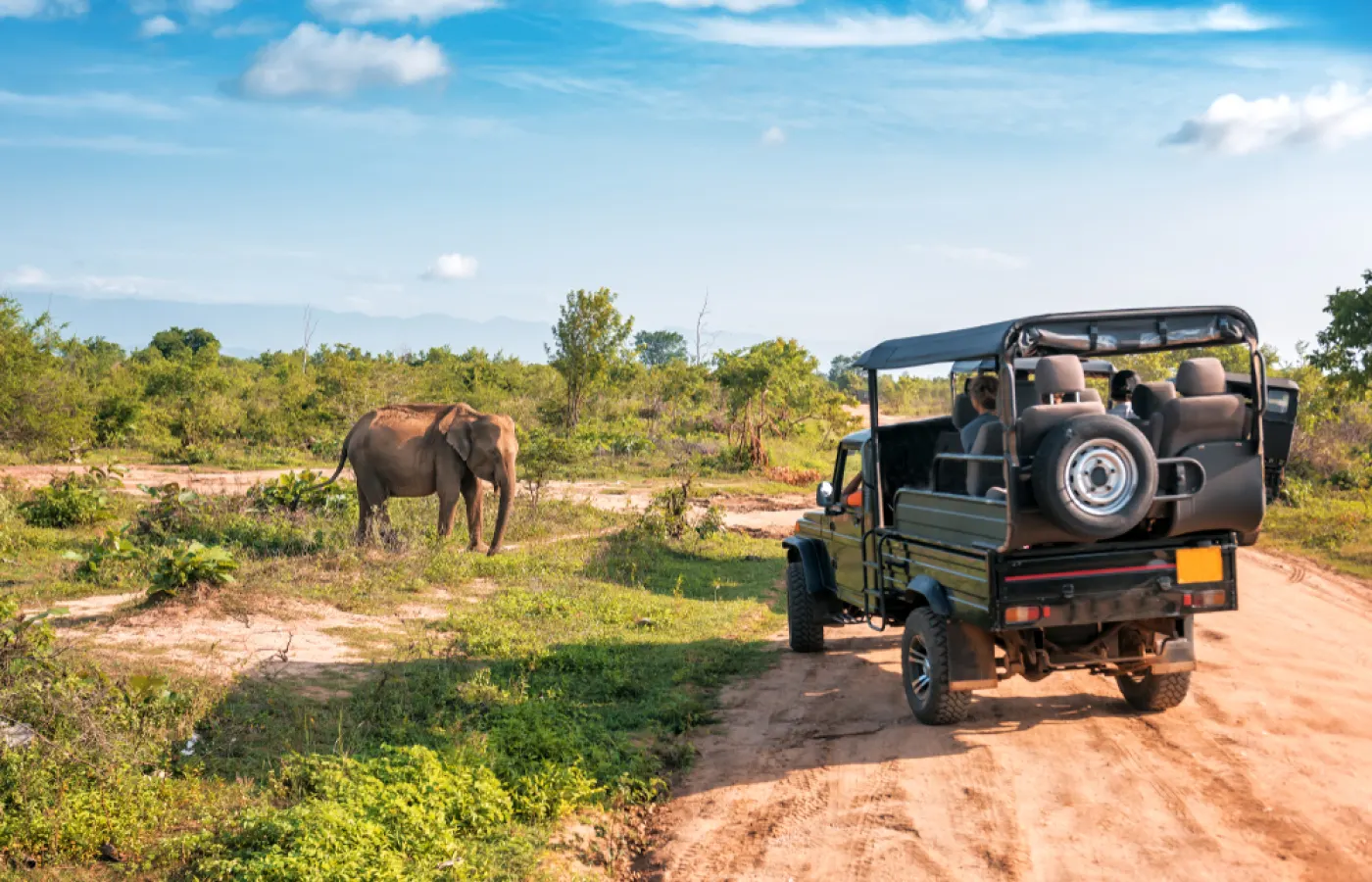 Sri Lanka Safari Guide: Yala, Udawalawe, Minneriya or Wilpattu? How to Choose